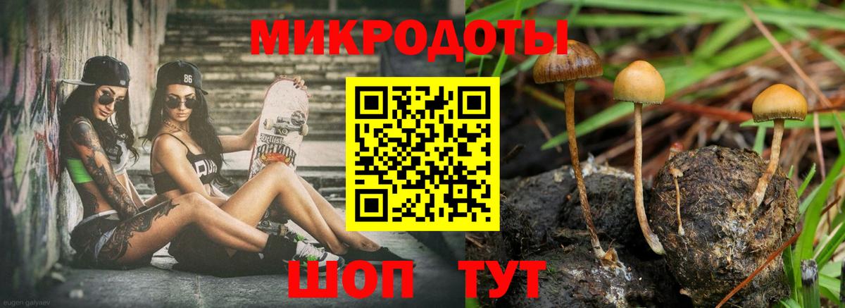 Елабуга  Галлюциногенные грибы GOLDEN TEACHER  продажа наркотиков  Галлюциногенные грибы MAGIC MUSHROOMS  Вход с VPN 
